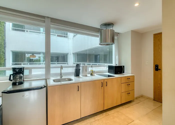 Modern King In Roma Norte Apartment