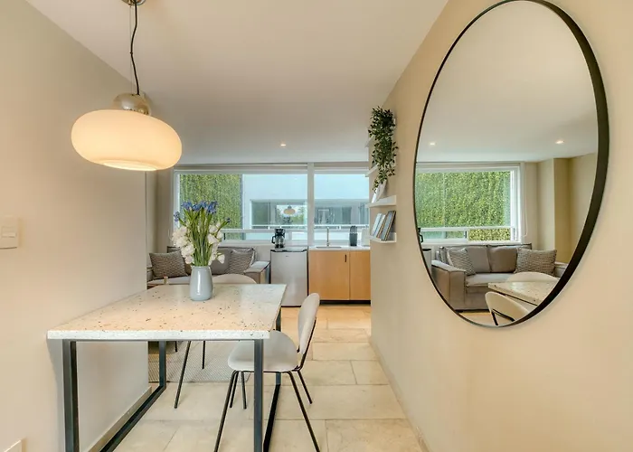Modern King In Roma Norte Apartment Mexico City