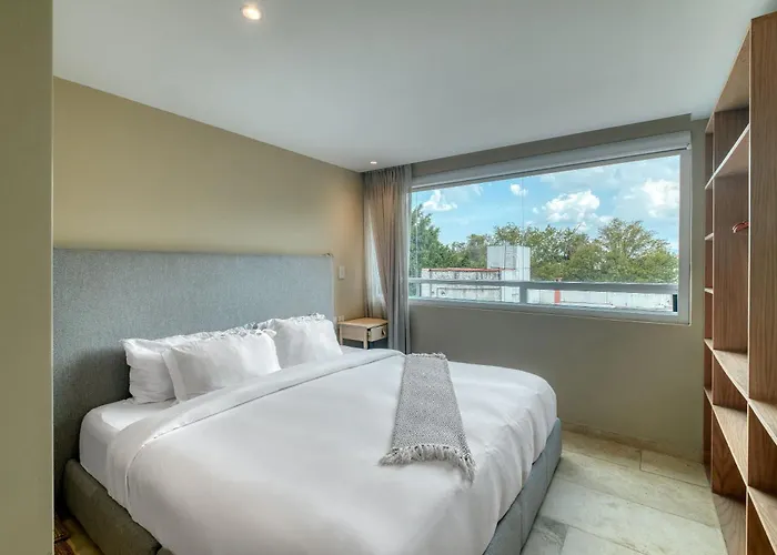 Modern King In Roma Norte Mexico City