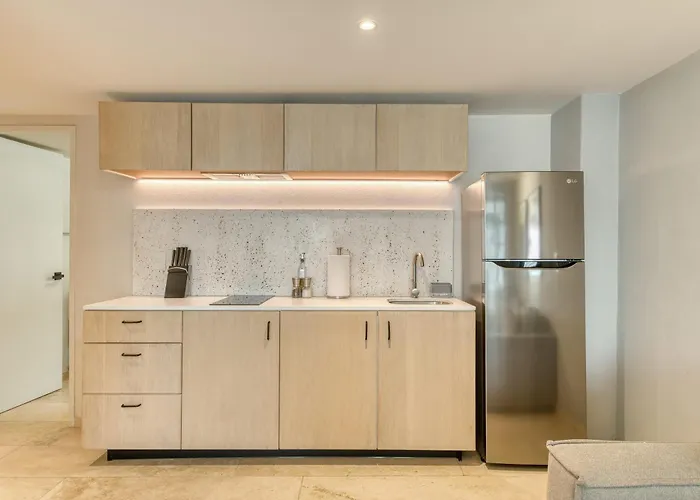 Modern King In Roma Norte Apartment *