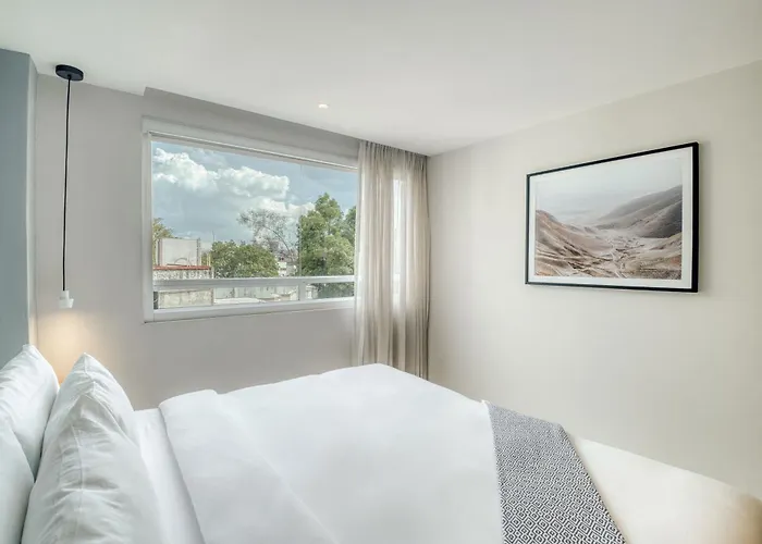 Modern King In Roma Norte Apartment Mexico City