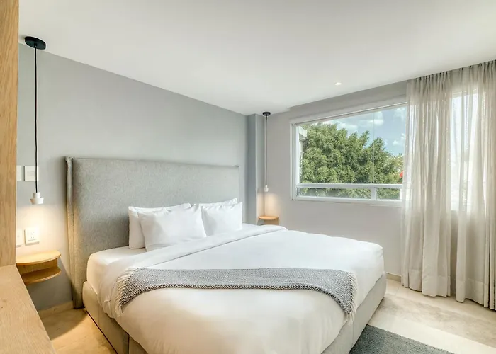 Modern King In Roma Norte Apartment