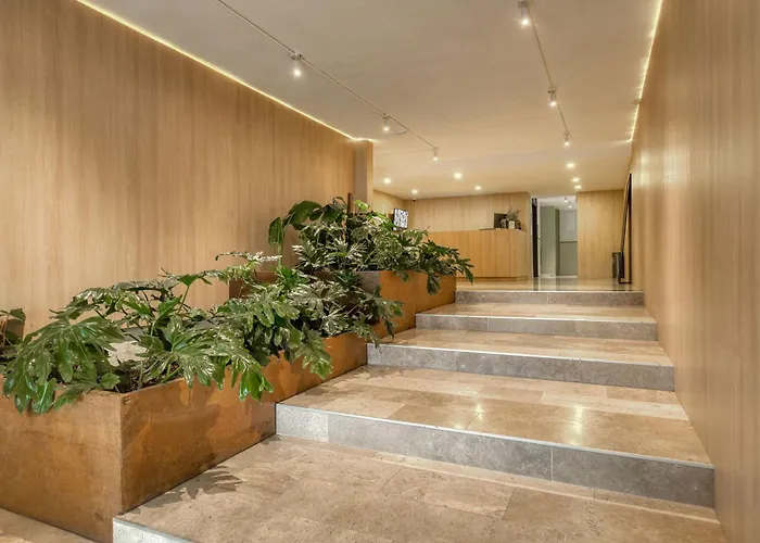 Modern King In Roma Norte Apartment